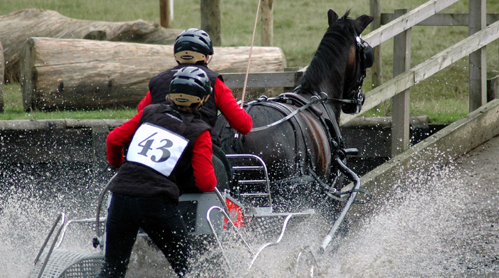 Bennington XL competition carriage in action at a Horse Driving Trials event